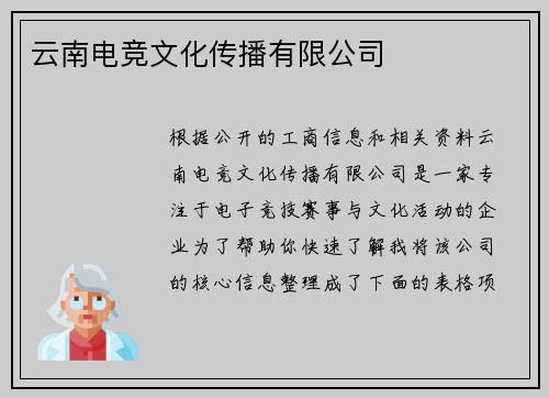 云南电竞文化传播有限公司